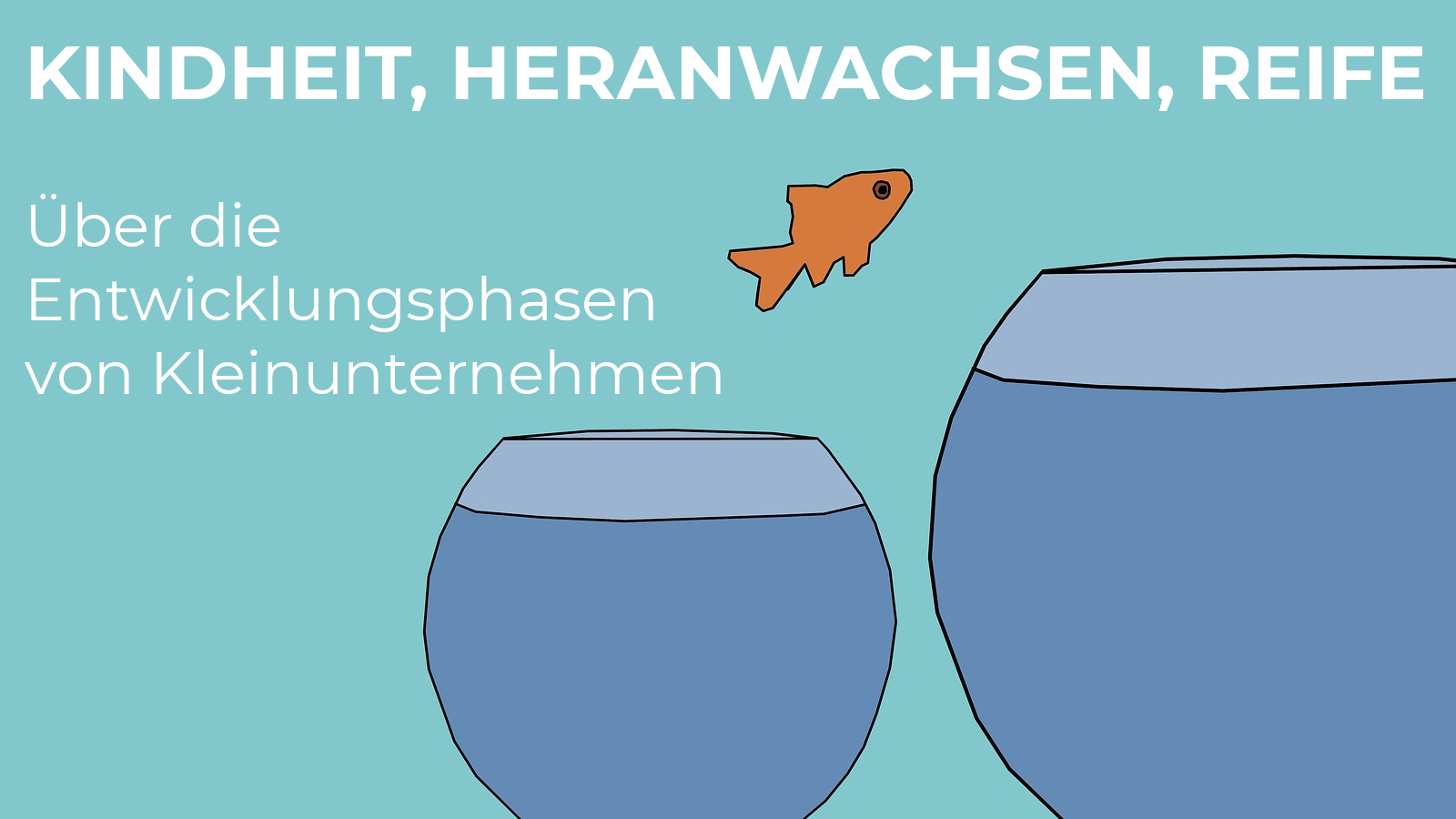 Entwicklungsphasen eines Unternehmens