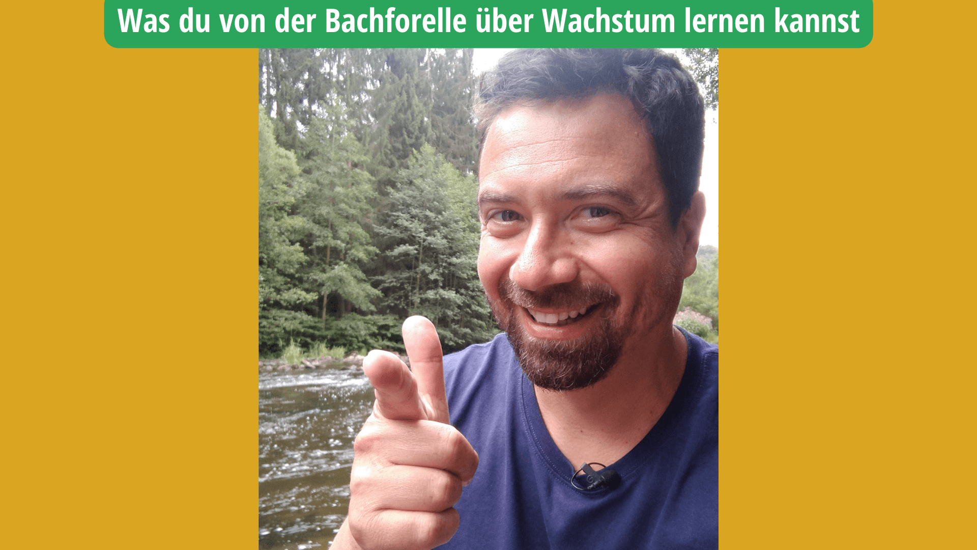 Was du von der Bachforelle über Wachstum lernen kannst