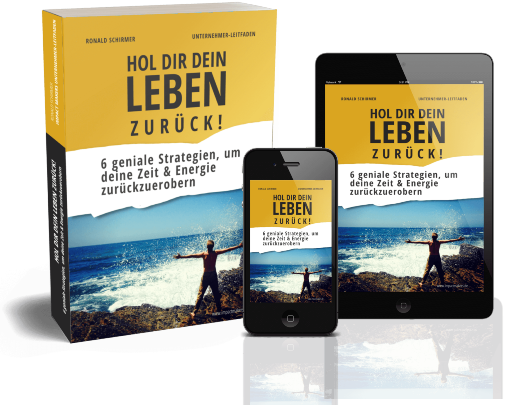 Impact Makers Unternehmer-Leitfaden